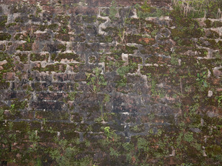 old wall texture