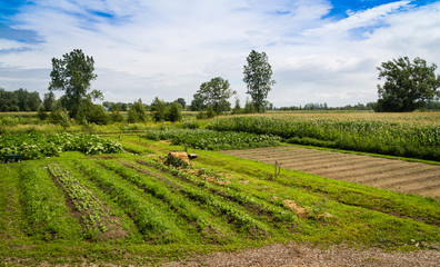 agricultural gardens farmland scenic in Quebec Canada