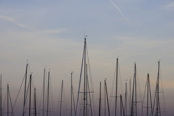 masts