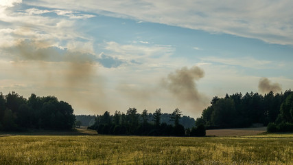 Fototapeta na wymiar Forest fire, nature disaster. Smoke comes up from a forest fire under extreme heat and drought in summer 2018 in Sweden.