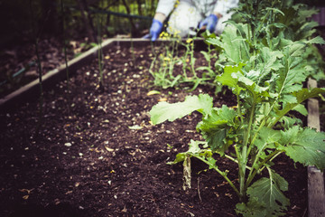 Gardening and planting. Kneeling by the bed.