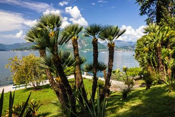 Fototapeta premium Varenna, Lombardy, Italy. Como lake, Villa Monastero garden.