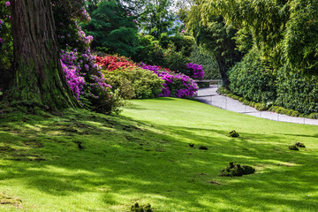 Green park in Lombardy, italy. Villa Taranto botanical garden