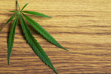 cannabis leaf on old wooden table