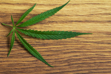 cannabis leaf on old wooden table