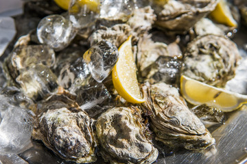 Oyster with lemon in ice in a sunny day on a foodfest.