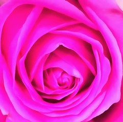 Acrylic painting on canvas art poster in floral motif. Modern artwork. Contemporary digital big size print in high resolution. Surreal flower in bright design. Graphic fantasy drawing. Beautiful rose.