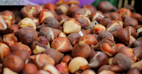 castañas