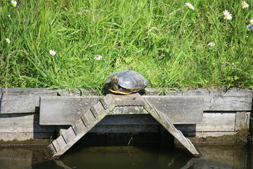 2 Wege in den Abgrund