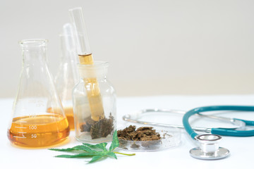 Marijuana research in the lab