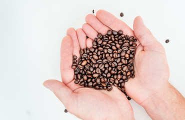 coffee beans in the hands of man on a white background