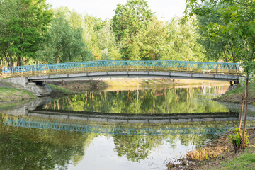 Fototapeta na wymiar Bridge over the lake in a green summer park.
