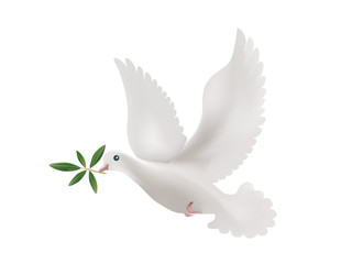 3d illustration with isolated dove and olive leaves. Symbol of peace