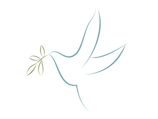 Vector dove with olive leaves. Symbol of peace