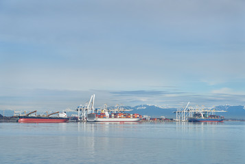 Delta Port Freighters, British Columbia. The industrial waterfront of Delta, British Columbia. British Columbia, Canada.

