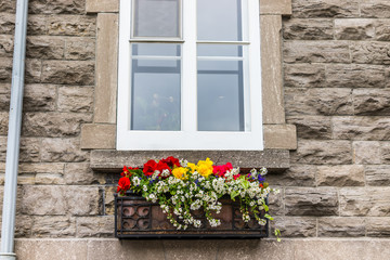 Fototapeta na wymiar Flowers basket closeup on window sill outside stone brick European building decoration