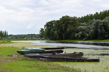 Beautiful Landscape of Several boats on Riverside in Nature Reserve