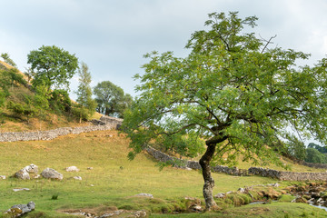 View of the countryside around Malham Cove in the Yorkshire Dales National Park