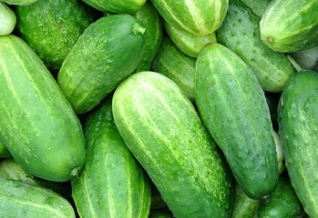 dteial view, fresh vegetables cucumbers