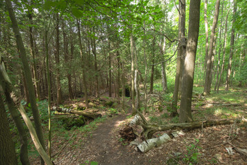 Trail within the Bruce Trails Splitrock Narrows