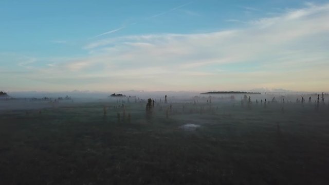 Beautiful foggy sunrise over the Kenai River flats at 5am in Alaska.