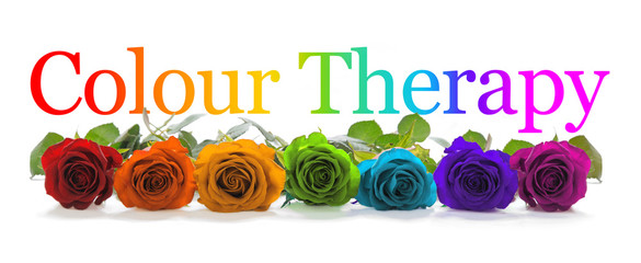 Colour Healing Therapy  Banner - A row of seven rose heads in red, orange, yellow, green,...