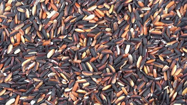 Pile of unpolished jasmine rice background, rotates, close up