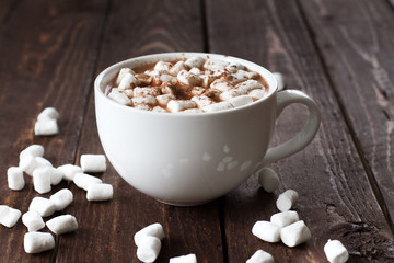 Large white cup of cocoa with marshmallow