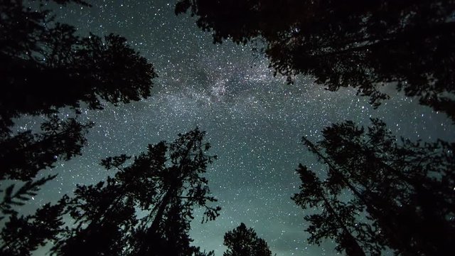 Time lapse of galaxy turning looking straight up through trees with panning motion in forest as the sky lights up at dawn.