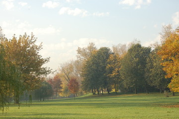 autumn in the park Izmaylovo