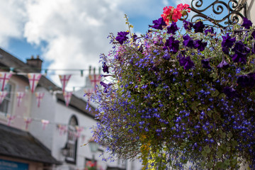 A hanging basket of colourful flowers in a rural town