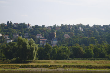 bewohnter und bewaldeter Hang an der Elbe in Dresden