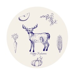 Autumn Animal, Illustration Hand Drawn of Whitetail or Virginia Deer with Berries, Apple, Corn, Pumpkin and Carrot. Symbolic Animal to Show The Signs of Autumn Season. 
