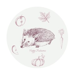 Autumn Animal, Illustration Hand Drawn of Hedgehog with Maple Leaf, Carrot, Pumpkin and Apple. Symbolic Animal to Show The Signs of Autumn Season.    © Iamnee