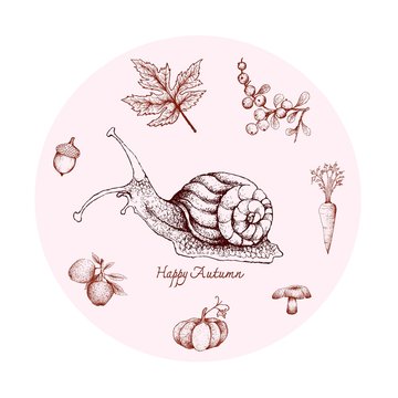 Autumn Animal, Illustration Hand Drawn of Snail with Berries, Apple, Carrot, Mushroom, Pumpkin, Acorn and Maple Leaf. Symbolic Animal to Show The Signs of Autumn Season. 
