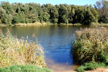 River Cna 2