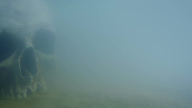 Skull Under The Sea