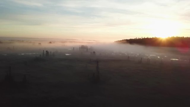 Beautiful foggy sunrise over the Kenai River flats at 5am in Alaska.