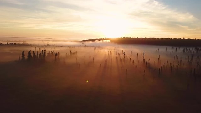 Beautiful foggy sunrise over the Kenai River flats at 5am in Alaska.