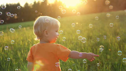 Cute toddler blond boy playing with soap bubbles on summer field. Beautiful sunset light. Happy...