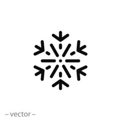 snowflake icon, linear sign isolated on white background - editable vector illustration eps10