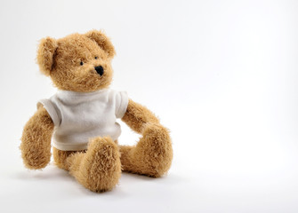 Brown Teddy bear toy in a white knitted sweatshirt.