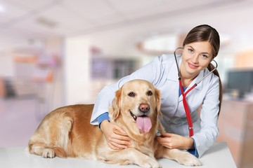 Beautiful young veterinarian with a dog