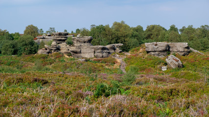 Fototapeta na wymiar Scenic view of Brimham Rocks in Yorkshire Dales National Park