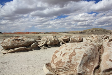 Cracked Eggs Bisti Wilderness Area New Mexico USA