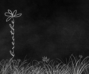 motivational breathe text daisy in grass on black chalkboard