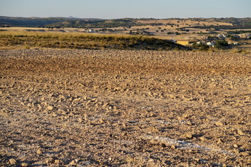 champ labouré, terre avec sillons