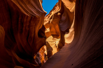 Lower Canyon Antelope and blue sky