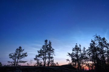 Starry sky over a night rocky forest