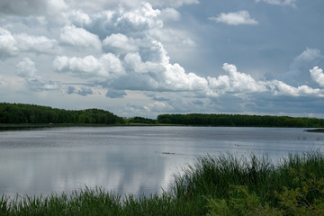 Marsh land in Saskatchewan, Canada.